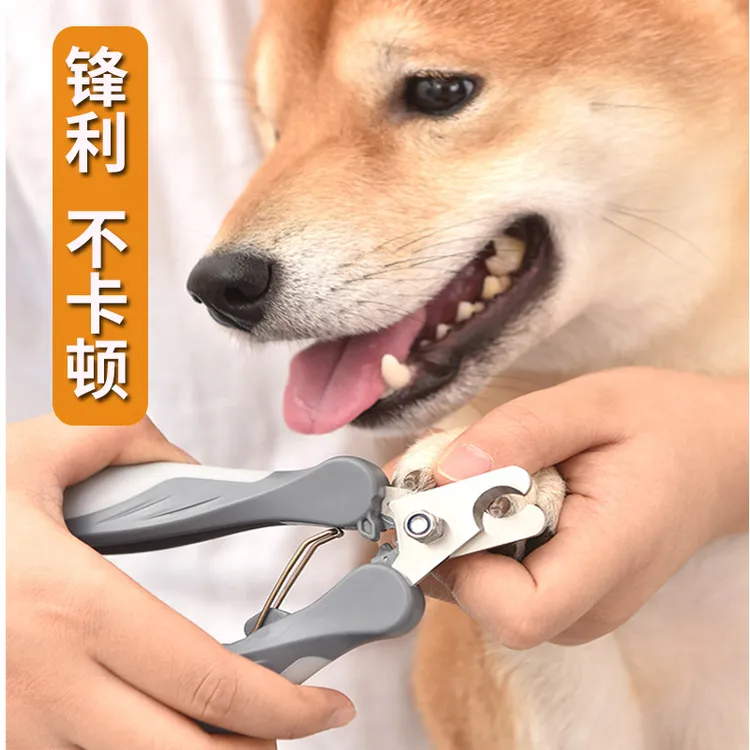 狗狗剪指甲专用猫咪泰迪金毛拉布拉多小型中型大型犬宠物指甲钳