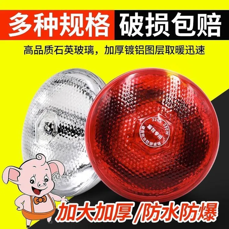 加厚保温灯防水防爆加热取暖箱灯泡小鸡仔猪育雏用养殖专用