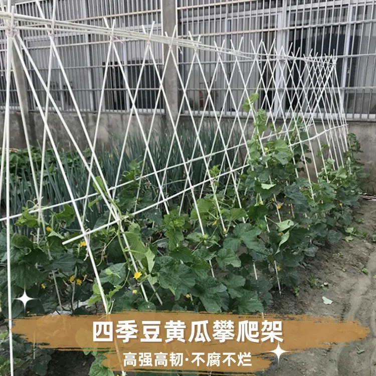 豇豆架杆种植箱架子蔬菜园艺芸豆家用豆角庭院葡萄阳台防晒棚遮阳