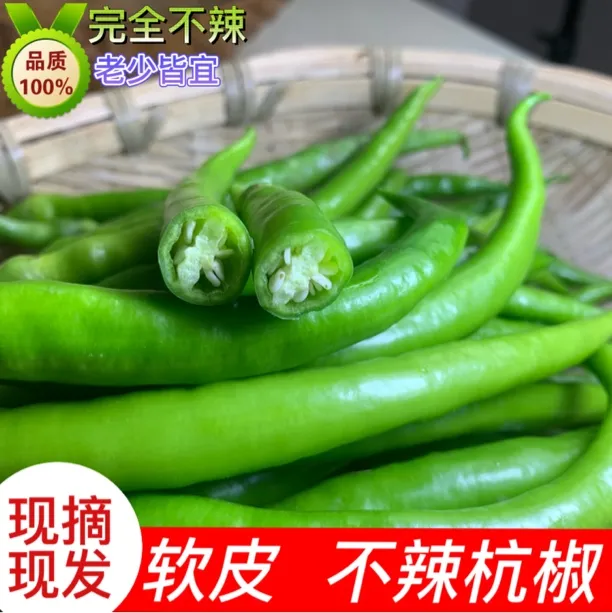 辣椒不辣的杭椒青椒新鲜杭椒水果杭椒小杭椒线椒不辣的新鲜辣椒