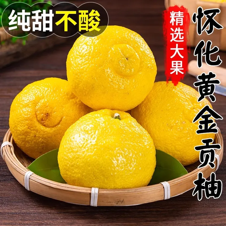 象山青湖南湘西黄金贡柚当季新鲜水果正宗清香甜多汁岩陇怀化产地