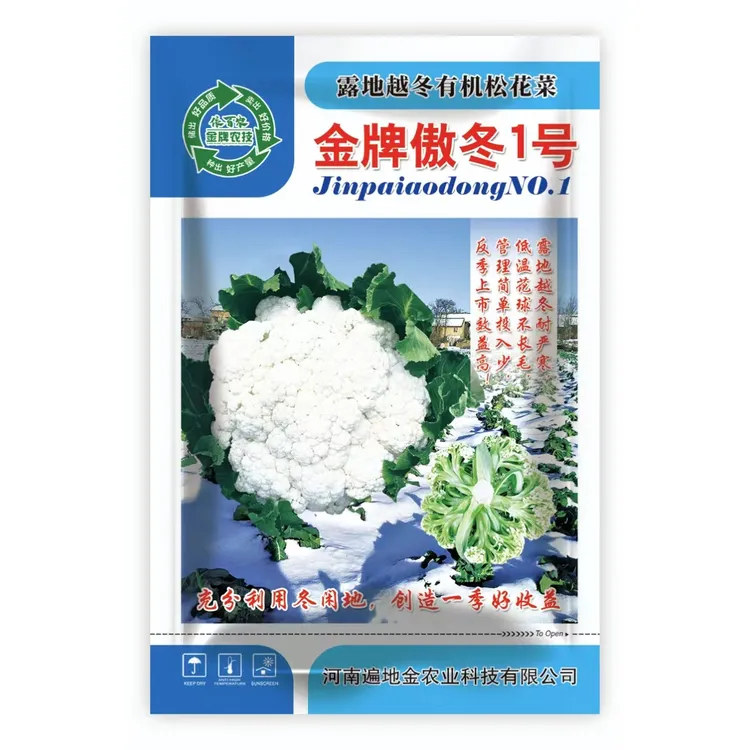 露地反季节种植越冬耐寒松花菜品种金牌傲冬1号种子蔬菜菜花