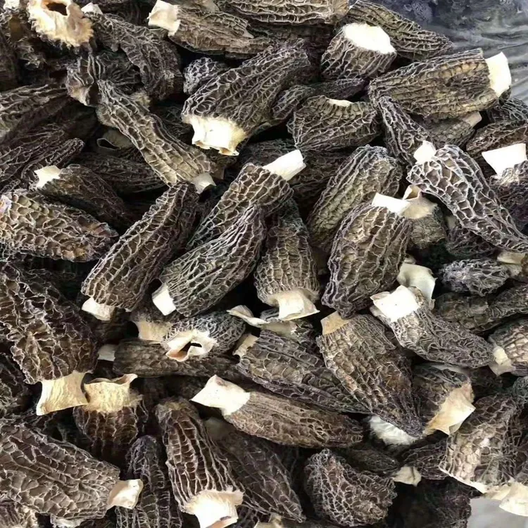 羊肚菌干货干净鲜营养煲汤炖头茬货肉质饱满250克包邮