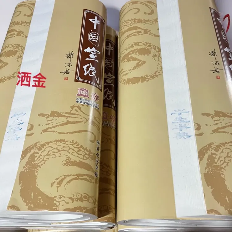 加厚仿古色色四尺六尺八尺整张描龙生宣半生半熟龙纹宣纸书法纸