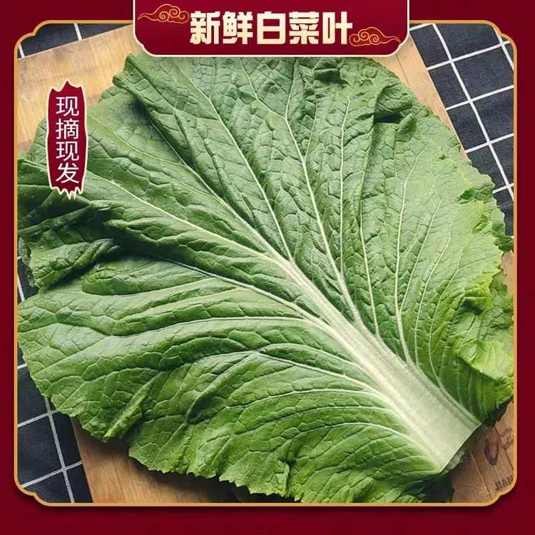 【现摘现发】东北白菜叶饭包叶 白菜叶子 白菜叶10g