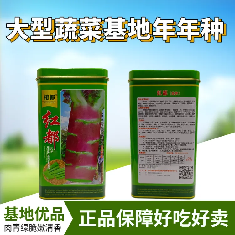 红都红莴笋种子红皮香莴笋种子耐热耐寒香莴苣种籽抗高温原装种植