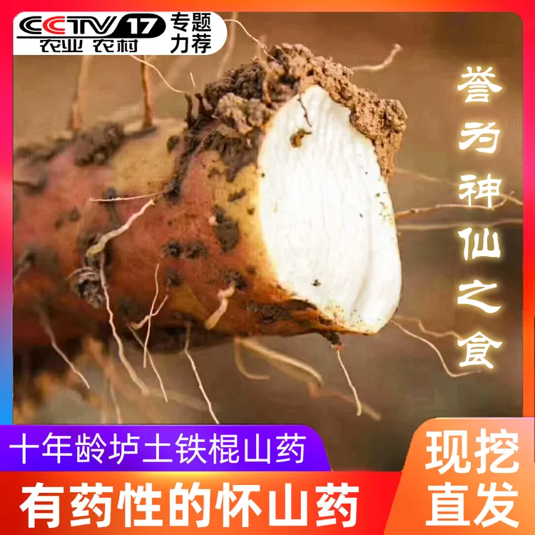 【十斤装】十年龄怀山药垆土山药铁棍山药新鲜河南焦作温县5kg