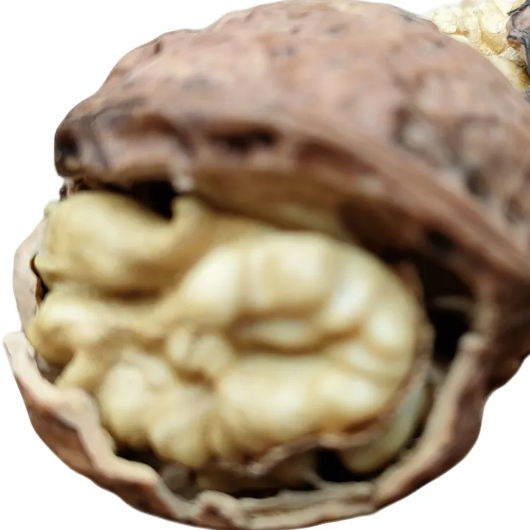 新鲜现摘去青皮湿核桃老树核桃孕妇零食脆壳核桃