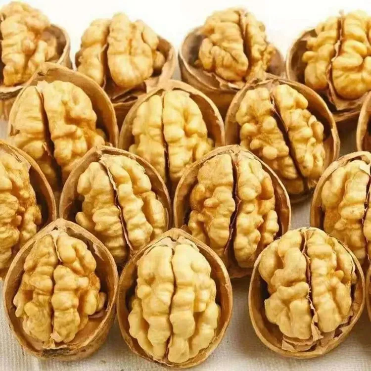 专属新货阿克苏新疆纸皮核桃薄皮营养食用饱满好开肉多