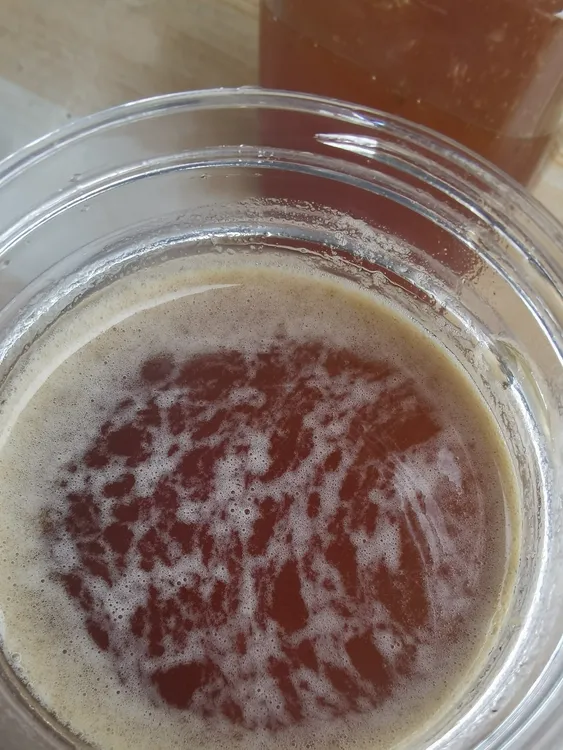 太行山野生蜂蜜纯正蜂蜜天然蜂蜜药花百花蜜农家土蜂蜜稀少真蜂蜜