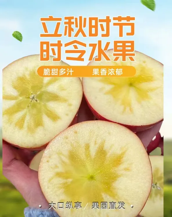 正宗云南昭通冰糖心丑苹果脆甜多汁应季新鲜水果孕妇高原现摘现发