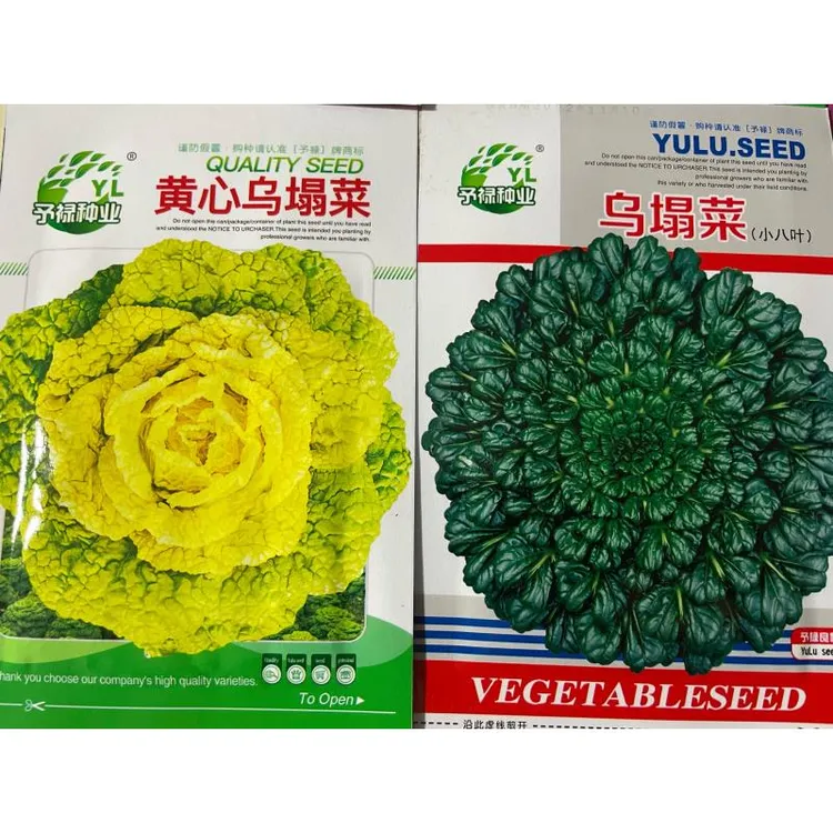 乌塌菜种子拍一发2代