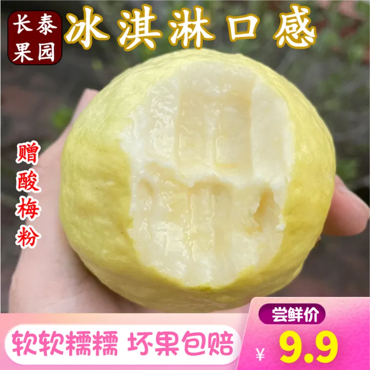 福建漳州软糯冰淇淋奶油白心芭乐番石榴包赔整箱包邮新鲜水果香甜