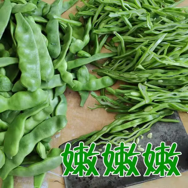 【彼得洛娃专属】豆角丝2024年新货农家自然晾晒油豆角丝500克