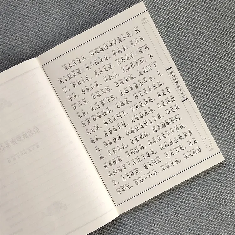 心经 金刚经大字注音 国学经典诵读本 佛教传统文化 正版书籍