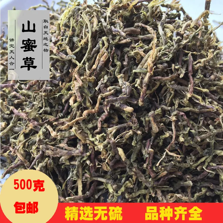 山密草 长寿草百花500g克