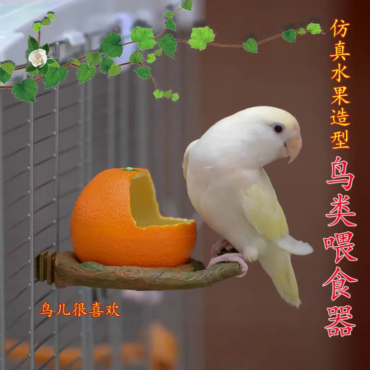 水果造型鹦鹉喂食器防撒食盒喂水神器喂食罐新型鹦鹉食盒