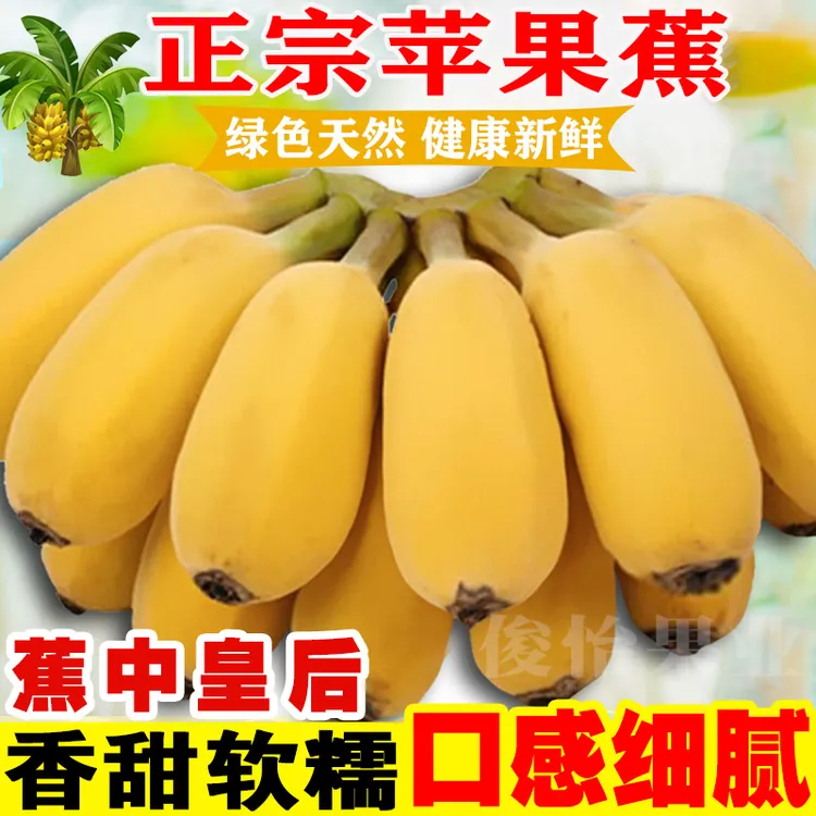 【俊怡果业】俊怡果业广西苹果蕉5斤9斤甜香蕉西贡蕉香蕉整箱批发