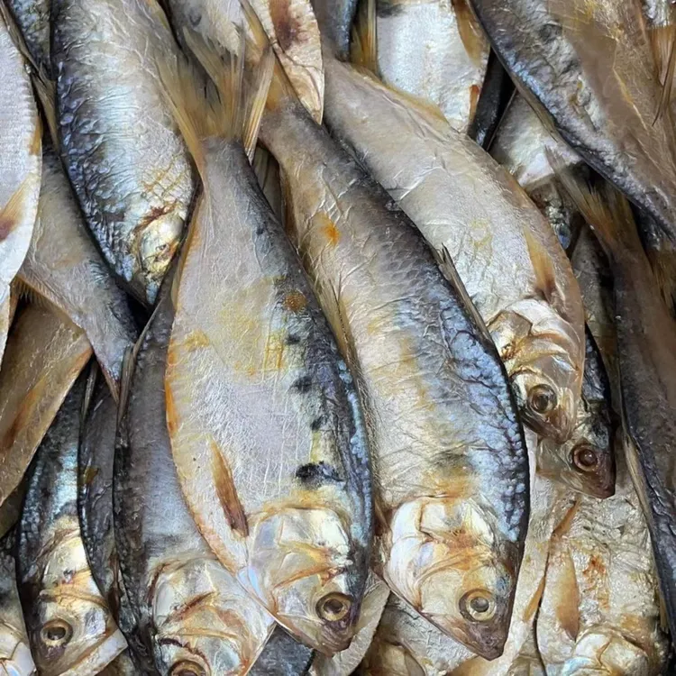 山东潍坊发货 海鲫鱼咸鱼  1500g 2500g