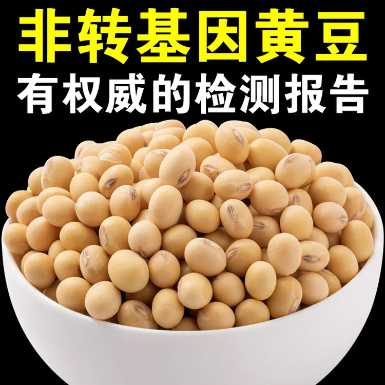 【呆呆菇娘】非转基因黄豆打豆浆专用老品种做豆腐笨黄豆土黄豆T