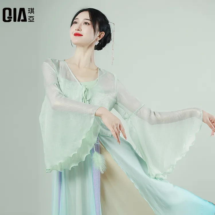琪亚古典舞蹈服女仙气飘逸民族舞演出服古风羽毛纱衣练功服装上衣