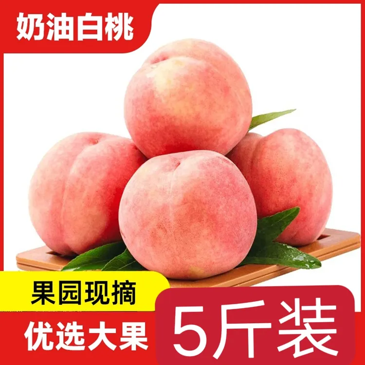 湖北大白桃水蜜桃新鲜现摘毛桃5.0斤应季水果脆甜