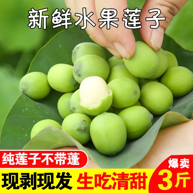 洪湖颜姐莲蓬莲子米嫩甜可口2斤3斤顺丰空运