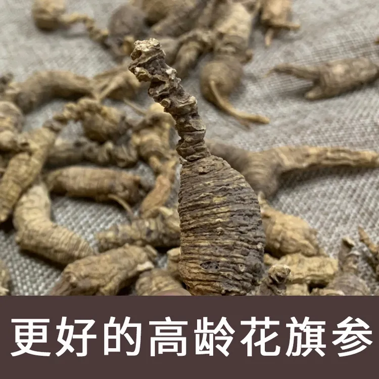 正宗美国野山花旗参进口西洋参美国威斯康辛州纯正野山参味浓50克