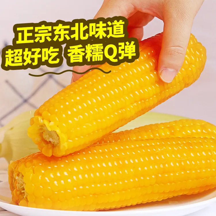 【新人专属升级】东北铝膜包装玉米黑龙江黏苞米约3000克/箱试吃2根