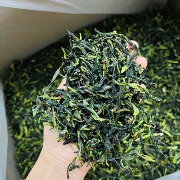 凤凰单丛 抽湿绿衣仙子 兰花香 500克