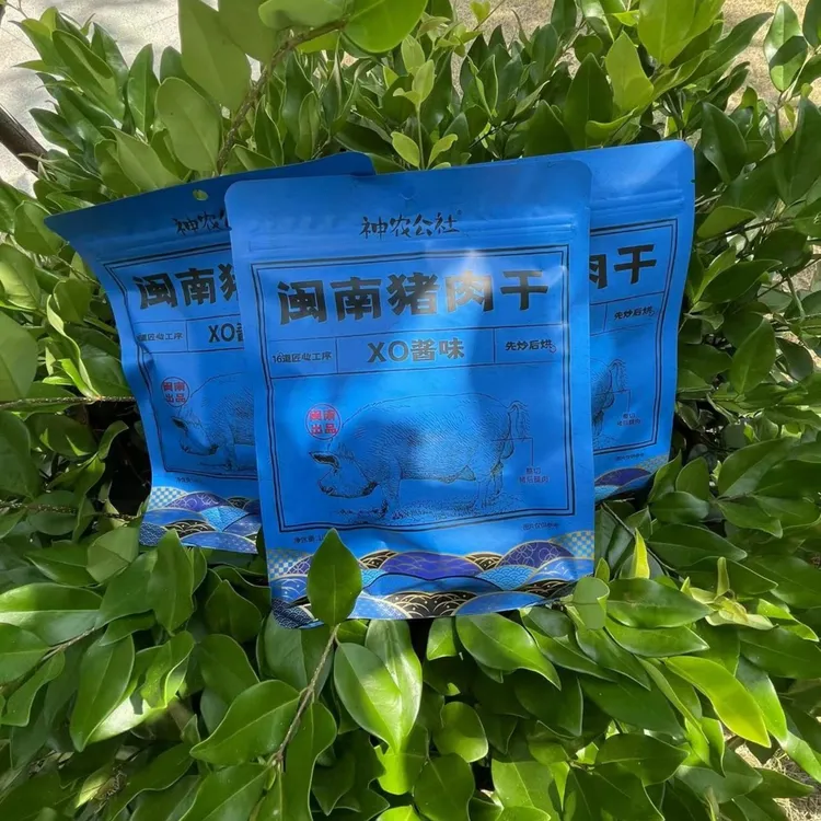 休闲零食闽南猪肉干《XO酱味》100g/包【到手共三包】