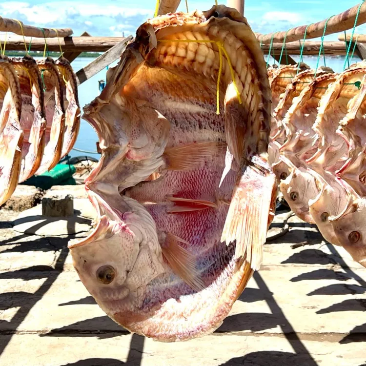 儋州红鱼干-海南特产【2.0斤/条-8.8斤/条】新鲜晾晒风干红鱼干