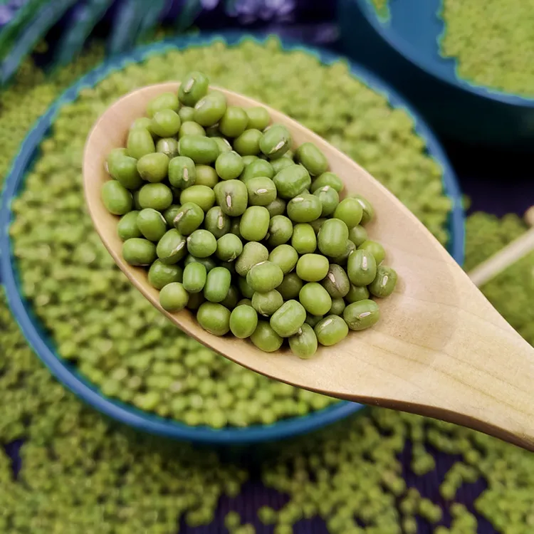 【东北小粒绿豆】黑龙江当季新鲜绿小豆出沙煮粥绿豆沙发芽2/5斤