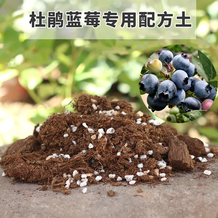 蓝莓专用营养土盆栽酸性泥炭基质土壤杜鹃花栀子山茶花‌喜酸通用