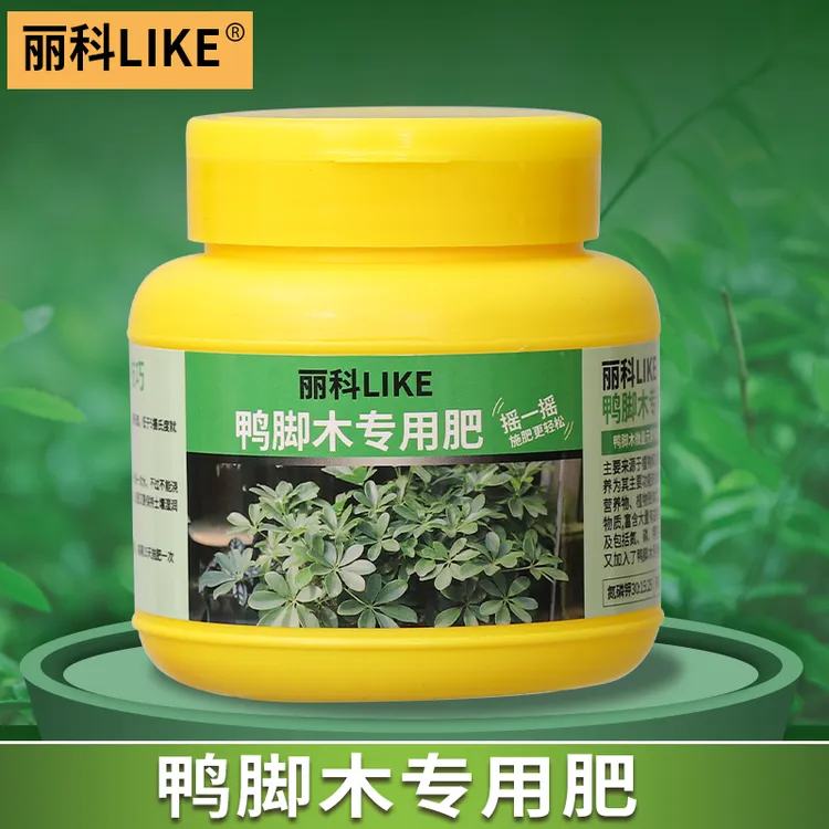 鸭脚木专用肥花肥家用盆栽通用鸭掌木专用肥花卉肥料缓释肥颗粒