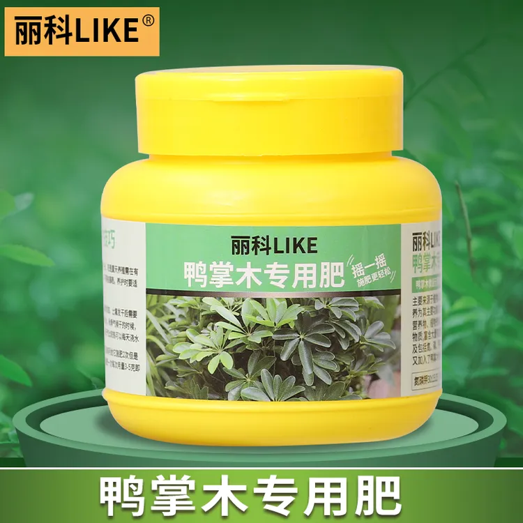 鸭掌木专用肥通用型花肥家用大肥王花肥鸭脚木专用肥盆栽绿叶宝