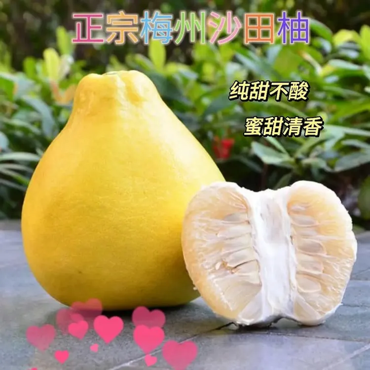 （爆甜）梅州高山40年老树果纯甜无酸