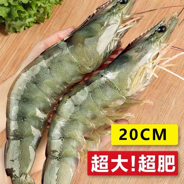 连云港海洋大虾海鲜水产2030大海虾基围虾活虾1750g白虾粱尚丰优1