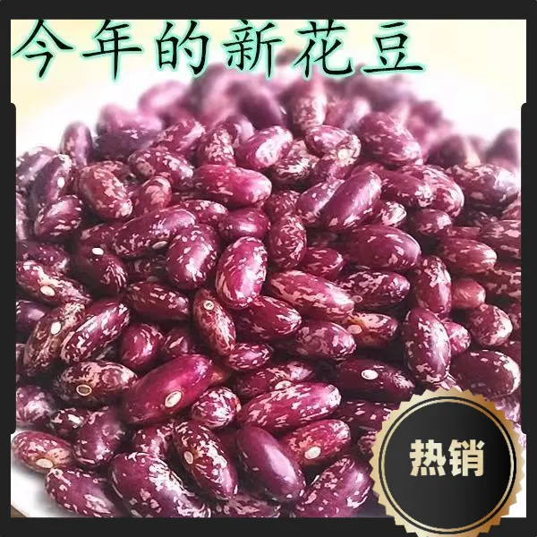 东北紫花芸豆 黑龙江特产饱满芸豆红扁花饭豆大碴粥焖饭