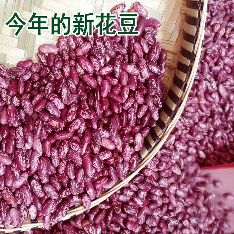 贵州酸菜豆米新花豆云豆 芸豆花豆子新四季豆四季豆紫花芸豆