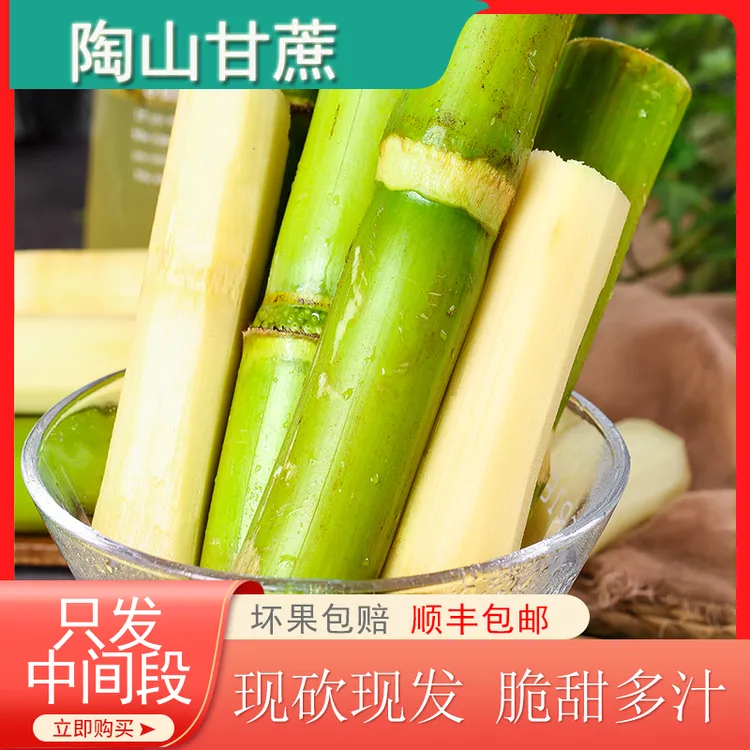 陶山青皮甘蔗现砍现发精品新鲜孕妇水果照片一个果节两段果肉状元