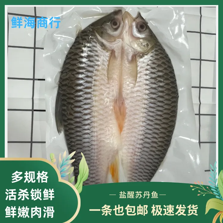 苏丹鱼马来忘不了鱼皇帝鱼新鲜开背冷冻