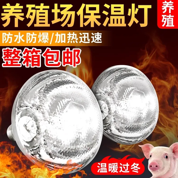 保温灯猪用保温灯取暖灯养殖专用加厚加热灯泡兽用灯泡小鸡保温灯