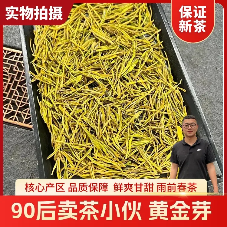 2025新茶雨前黄金芽茶叶高山绿茶浓郁散装春茶送礼茶茶叶茶叶送礼