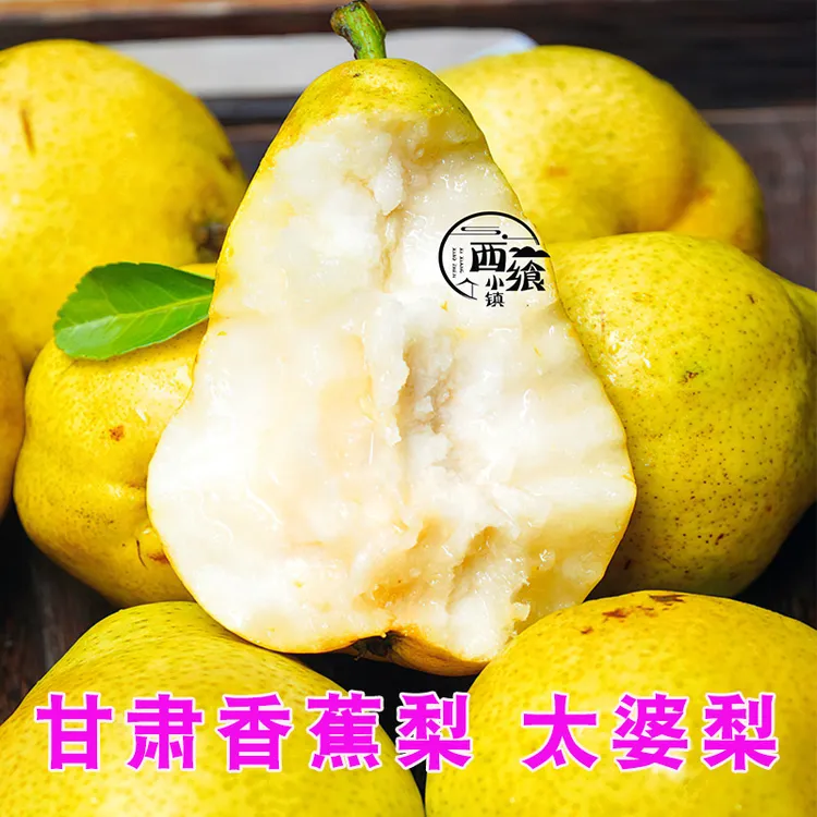 甘肃太婆梨香蕉梨水果新鲜大头梨当季整箱啤梨5斤包邮香甜