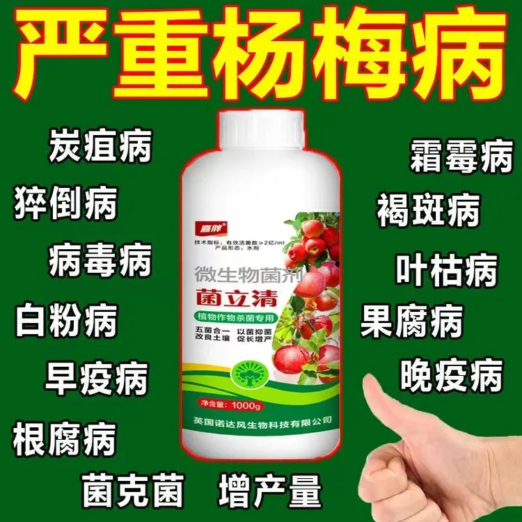 农用菌剂全治杨梅凋萎病肉葱病黄叶病叶枯枝腐锈专用微生物肥料商品图