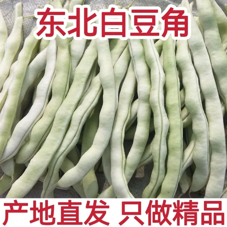东北白豆角白不老白大架豆角新鲜蔬菜现摘现发农家自种包邮白云豆