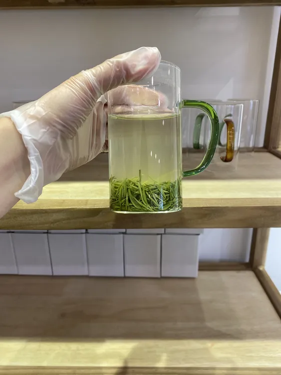 信阳毛尖 明前J1嫩芽清鲜回甜