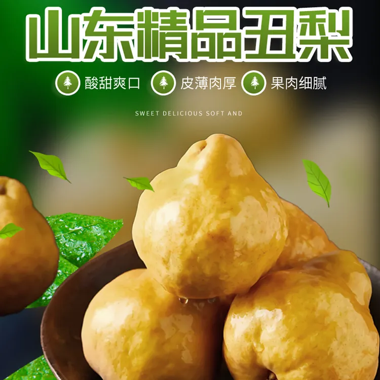 山东优质精品丑梨