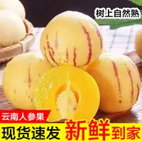 云南石林应季人参果圆果清甜多汁4.5斤现摘坏果包赔